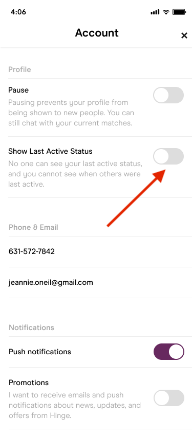 To-Enable-Your-Last-Active-Status